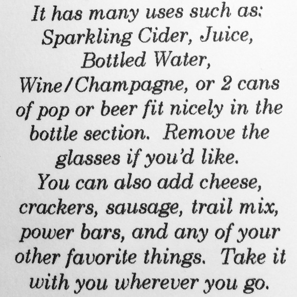 ▫️Picnic Time Insulated Wine/Picnic Tote - Picture 15 of 16